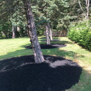 Landscaping company - The Simon Works LLC